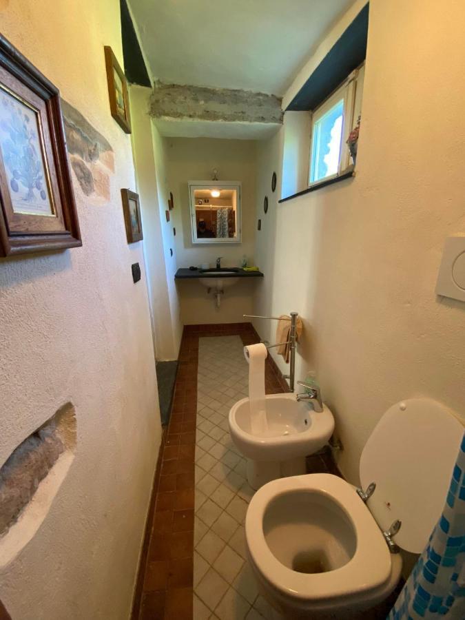 Villa Molinazzo Cicagna 外观 照片