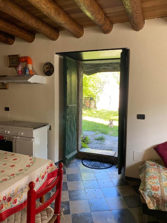 Villa Molinazzo Cicagna 外观 照片
