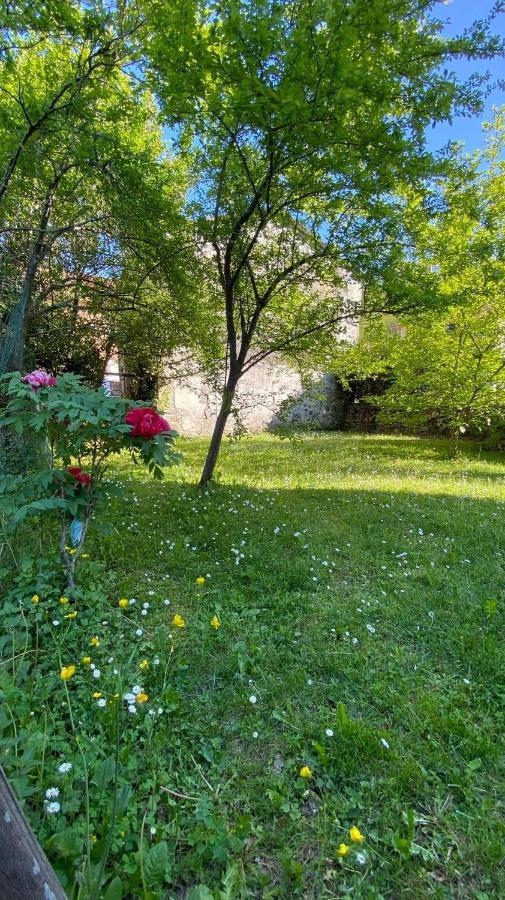 Villa Molinazzo Cicagna 外观 照片